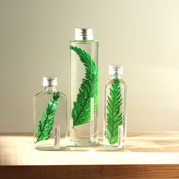 Trio de Plantes immergées, Herbarium en bouteille, Plants in bottle, Idée cadeau