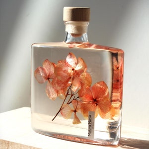 NATURA NOVA submerged flower, Herbarium, Hydrangea in a preservation liquid, Gift idea