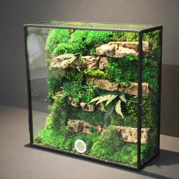 Stabilized plant terrarium, Landscape under glass, Terrarium