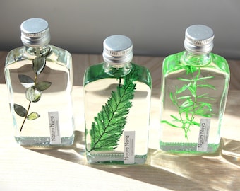 Trio de plantes immergées, Herbariums en bouteille, 3 Plants in bottle, Idée cadeau