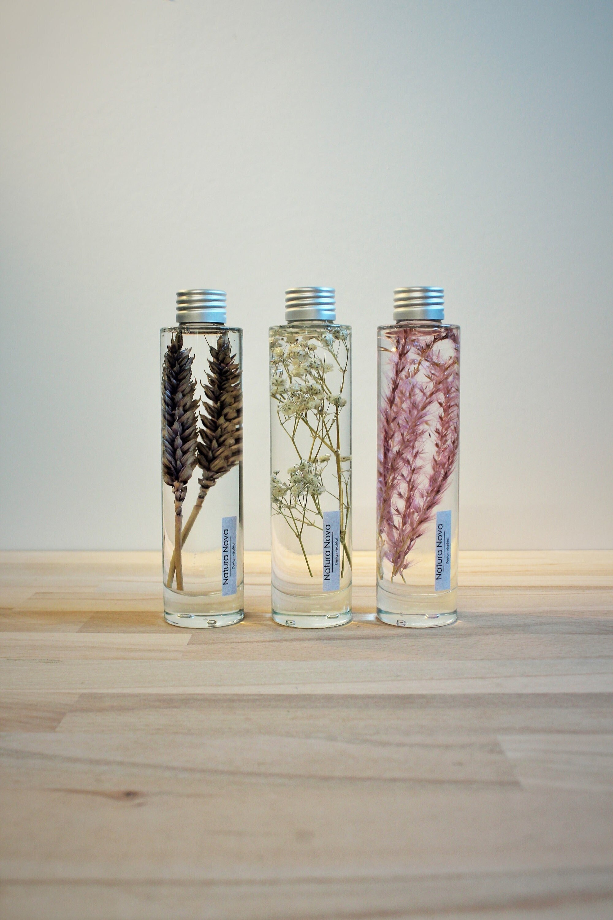 Trio de Plantes et Fleurs Immergées, Herbarium en Bouteille, Plants in Bottle