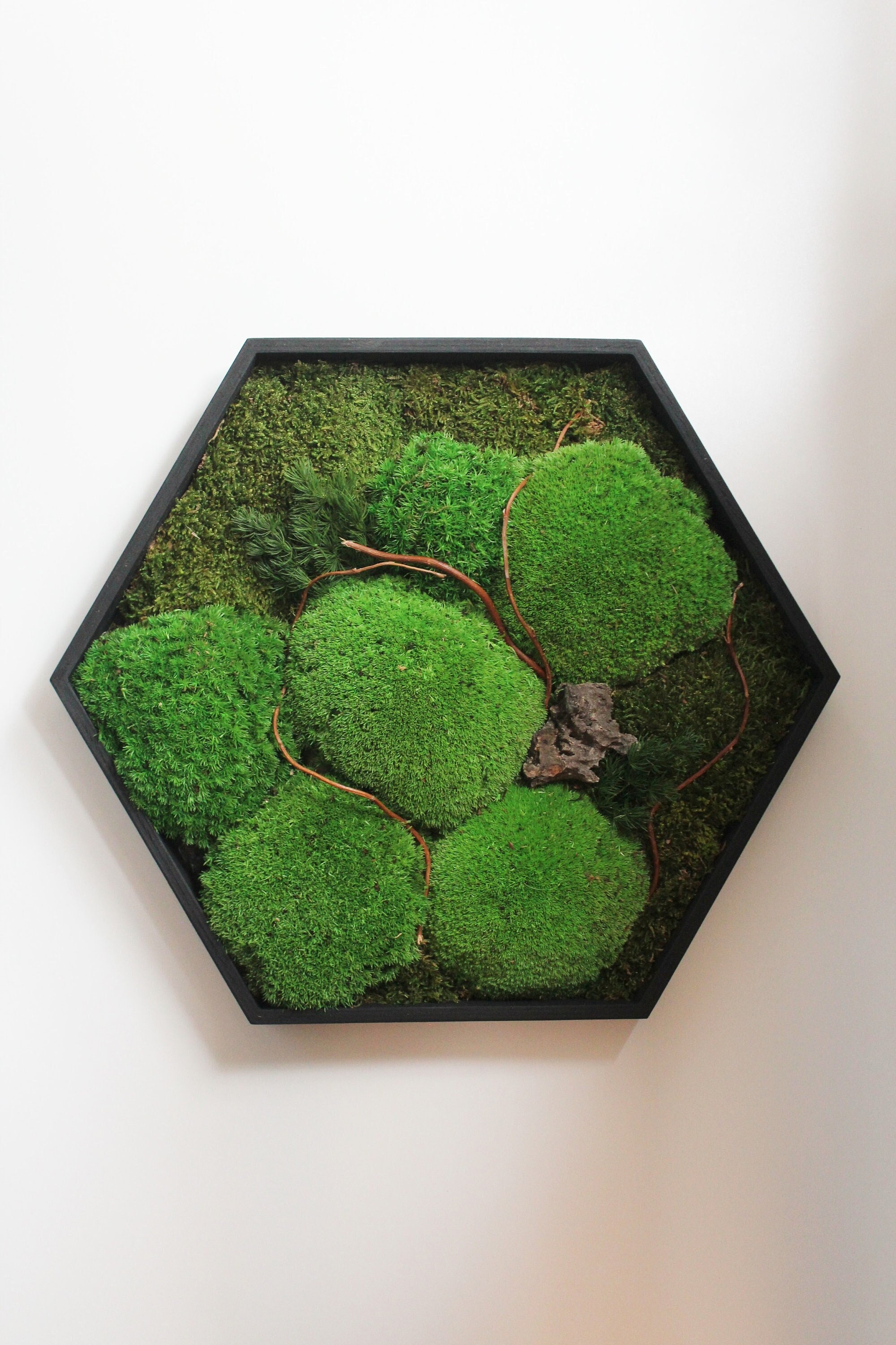 Cadre Végétal Stabilisé, Tableau Végétal, Preserved Moss Frame, Cadeau de Noël