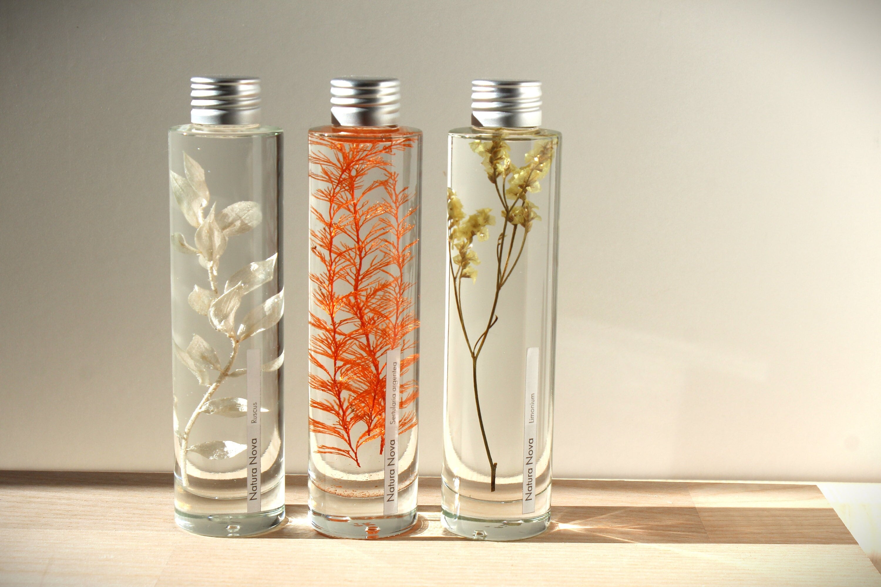 Trio de Plantes et fleurs immergées, Herbarium en bouteille, Plants in  bottle, Idée cadeau -  France