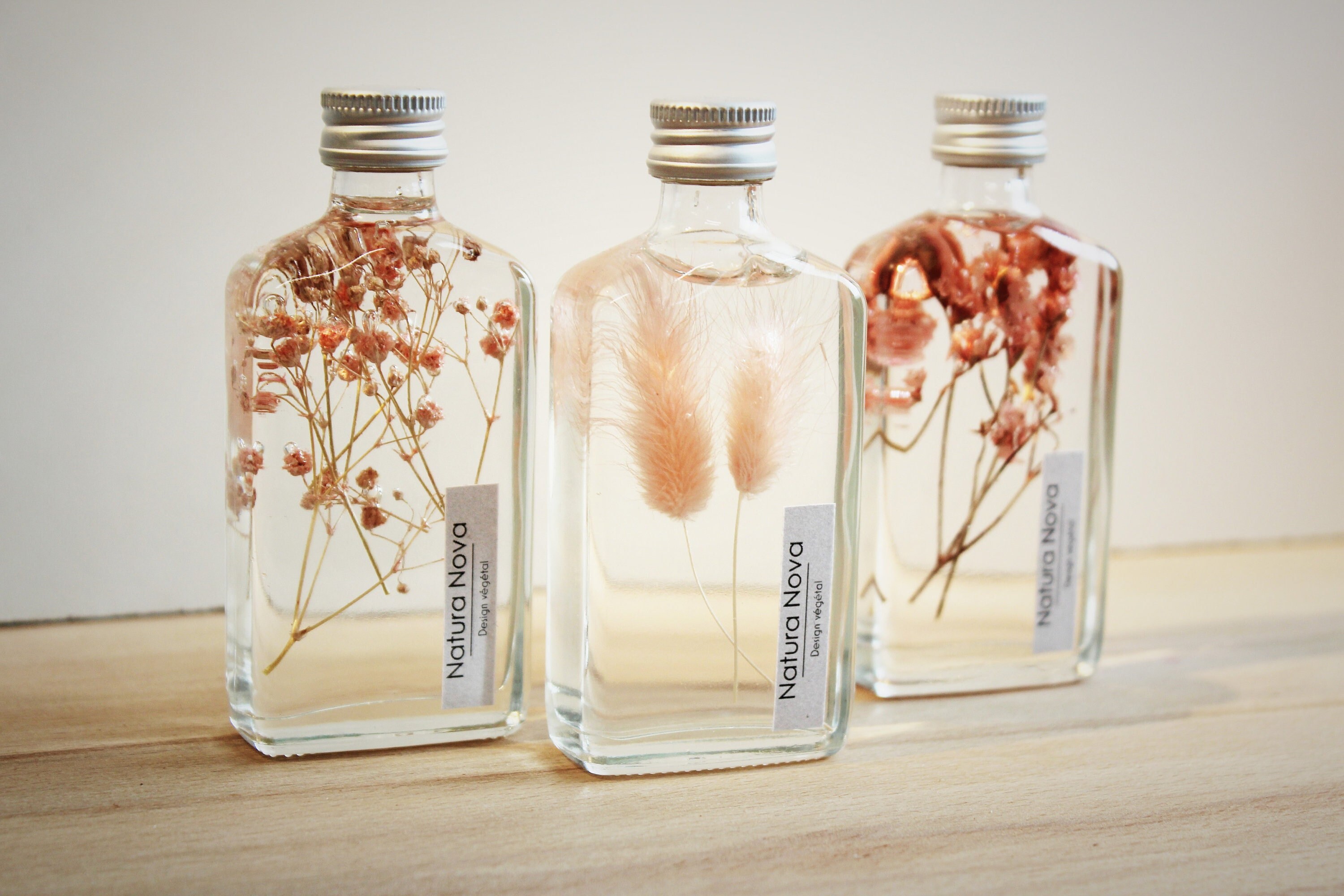 Trio de Plantes Immergées, Herbariums en Bouteille, 3 Plants in Bottle, Idée Cadeau