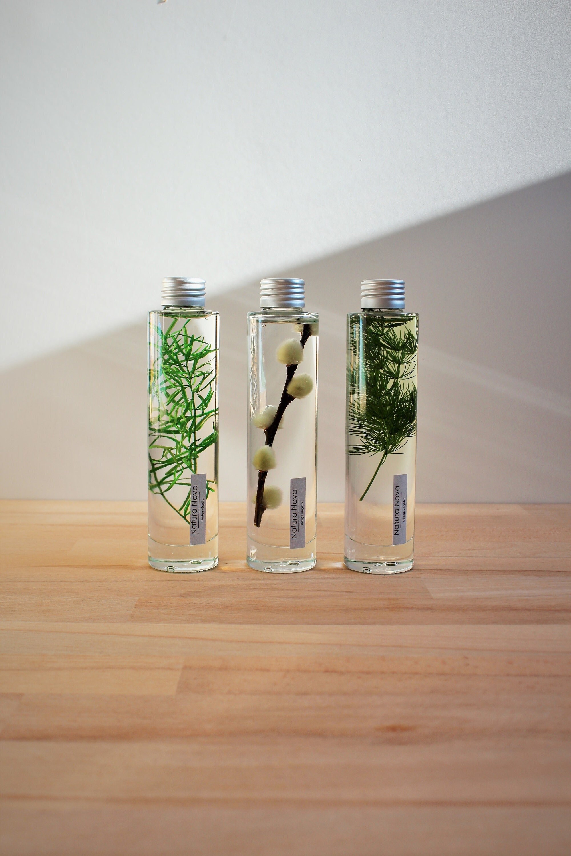 Trio de Plantes Immergées, Herbarium en Bouteille, Plants in Bottle