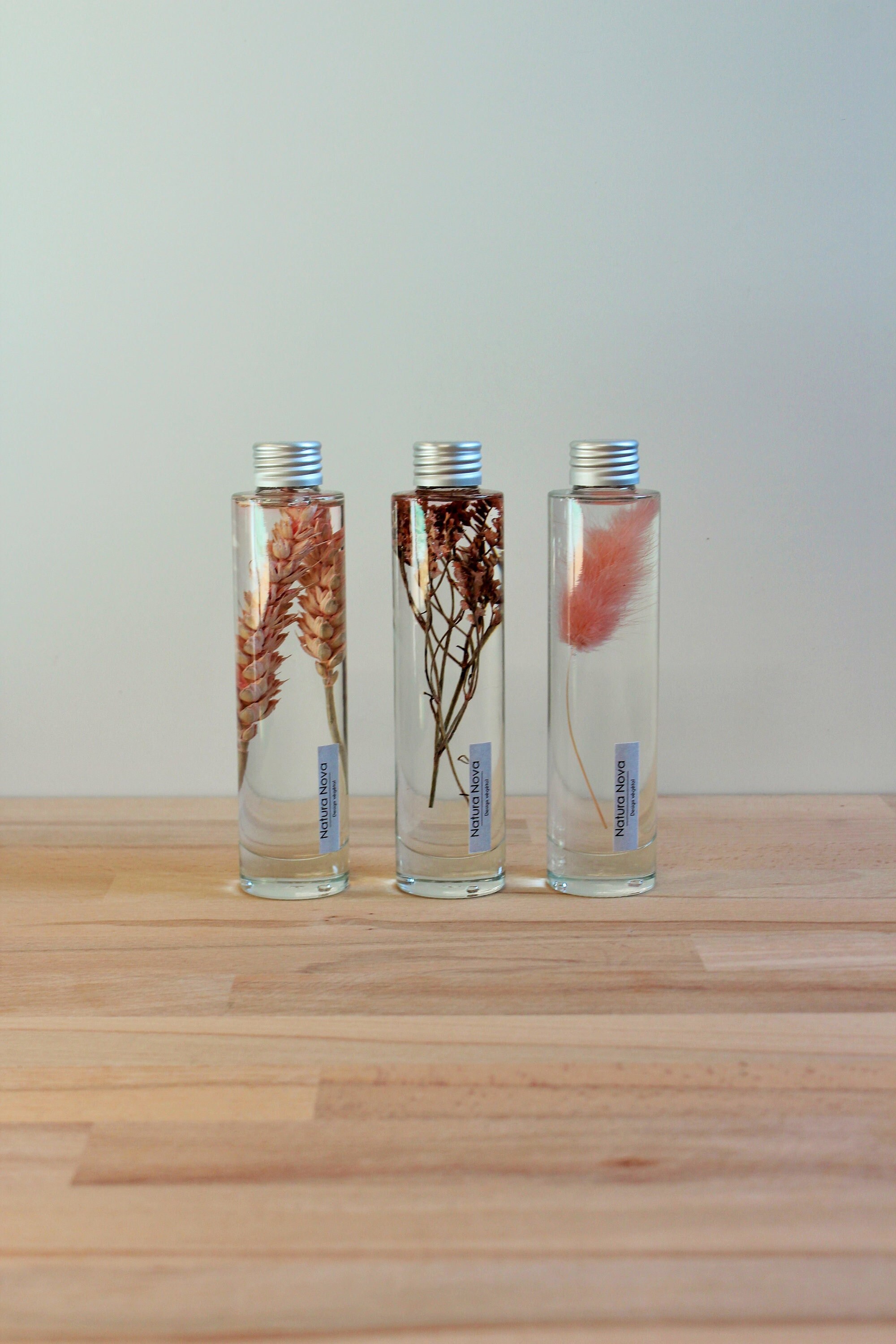 Trio de Plantes Immergées, Herbarium en Bouteille, Plants in Bottle