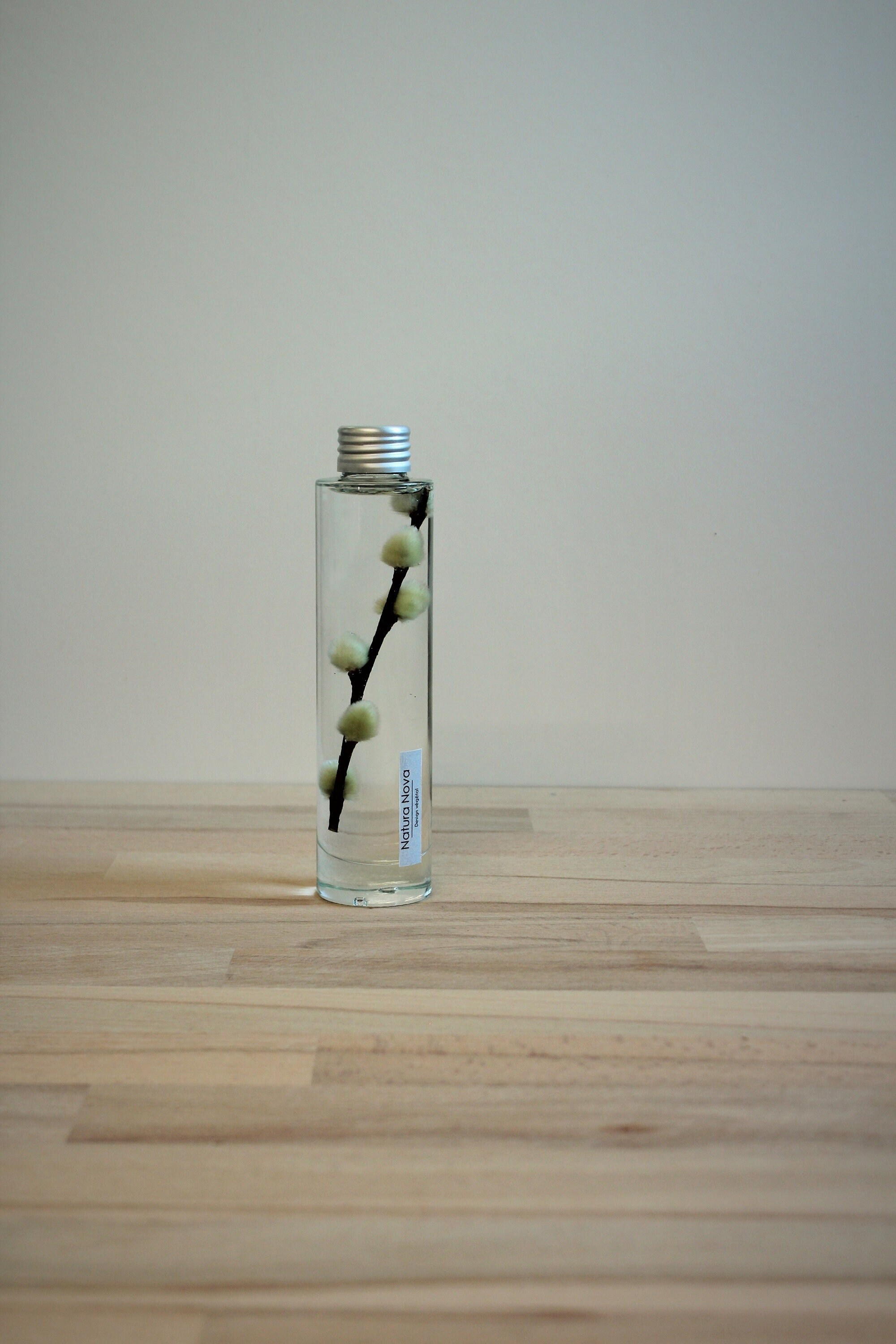 Plante Immergée, Herbarium, Plant in Bottle