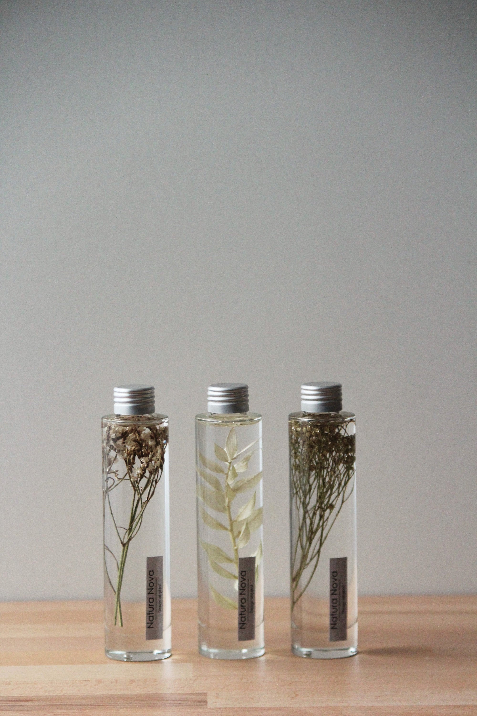 Trio de Plantes Immergées, Herbariums, Idée Cadeau