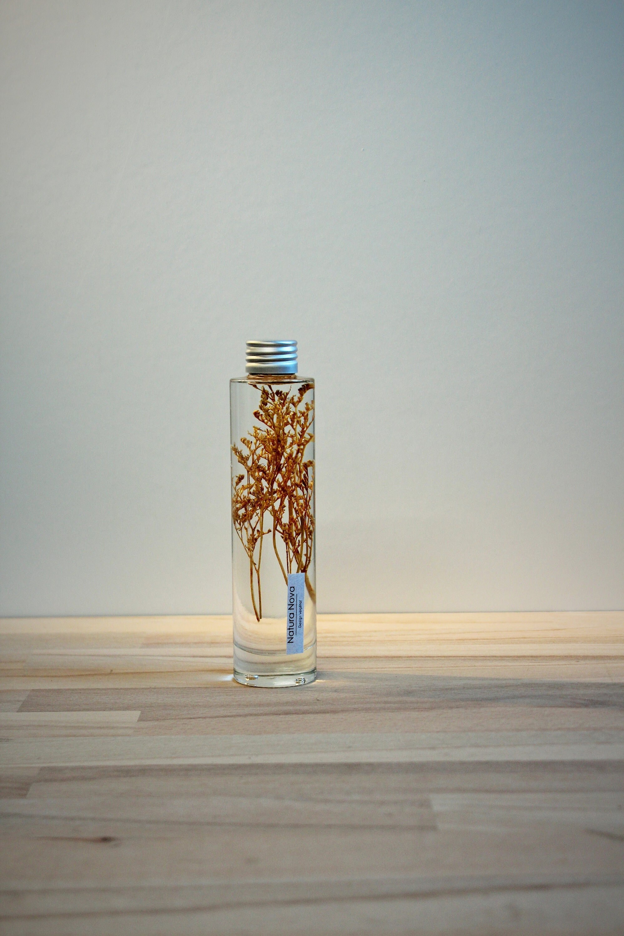 Plante Immergée, Herbarium, Plant in Bottle, Idée Cadeau