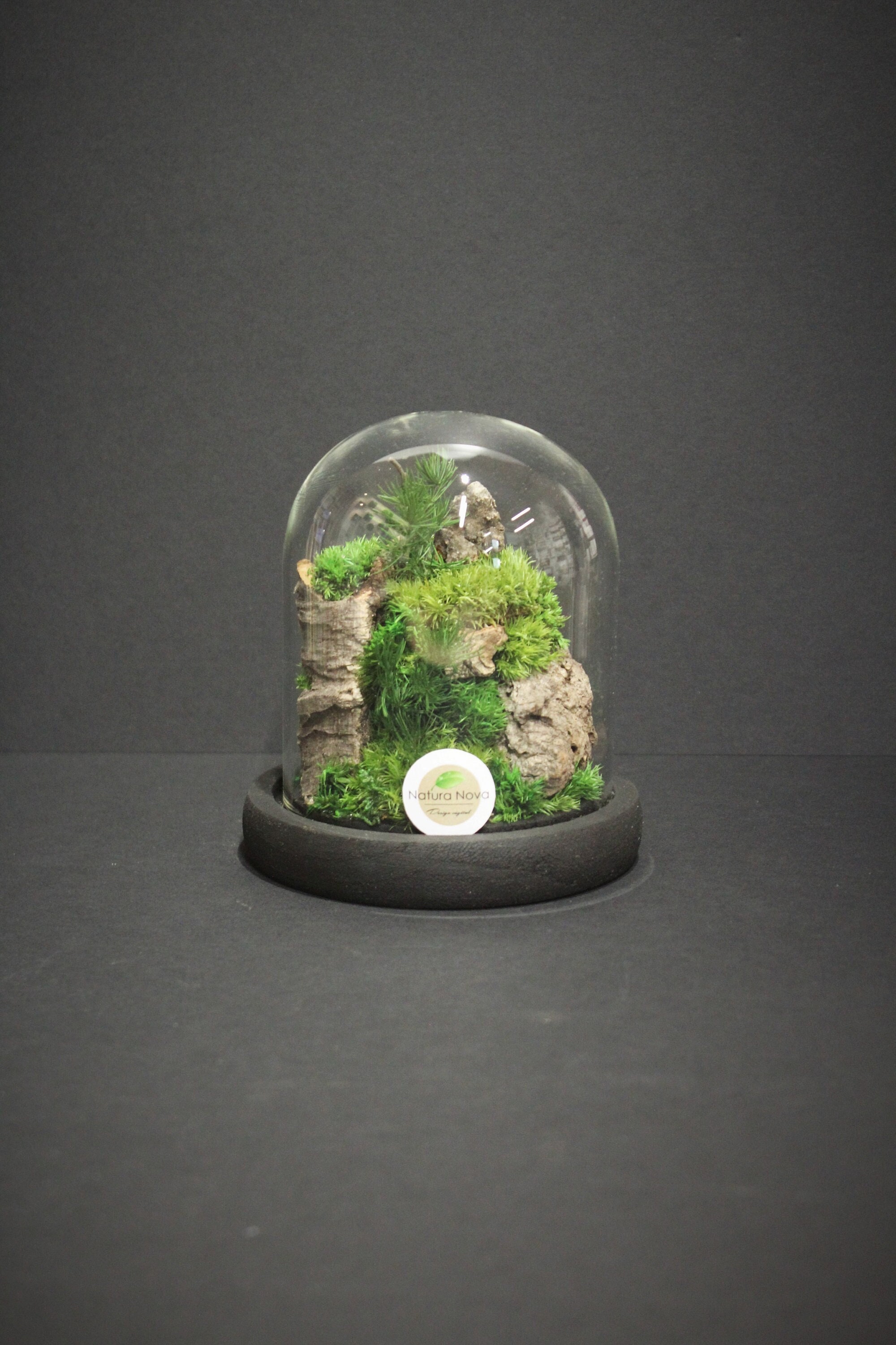Paysage Sous Cloche, Terrarium Végétal Stabilisé, Tiny Scape in Glass Bell, Cadeau de Saint Valentin
