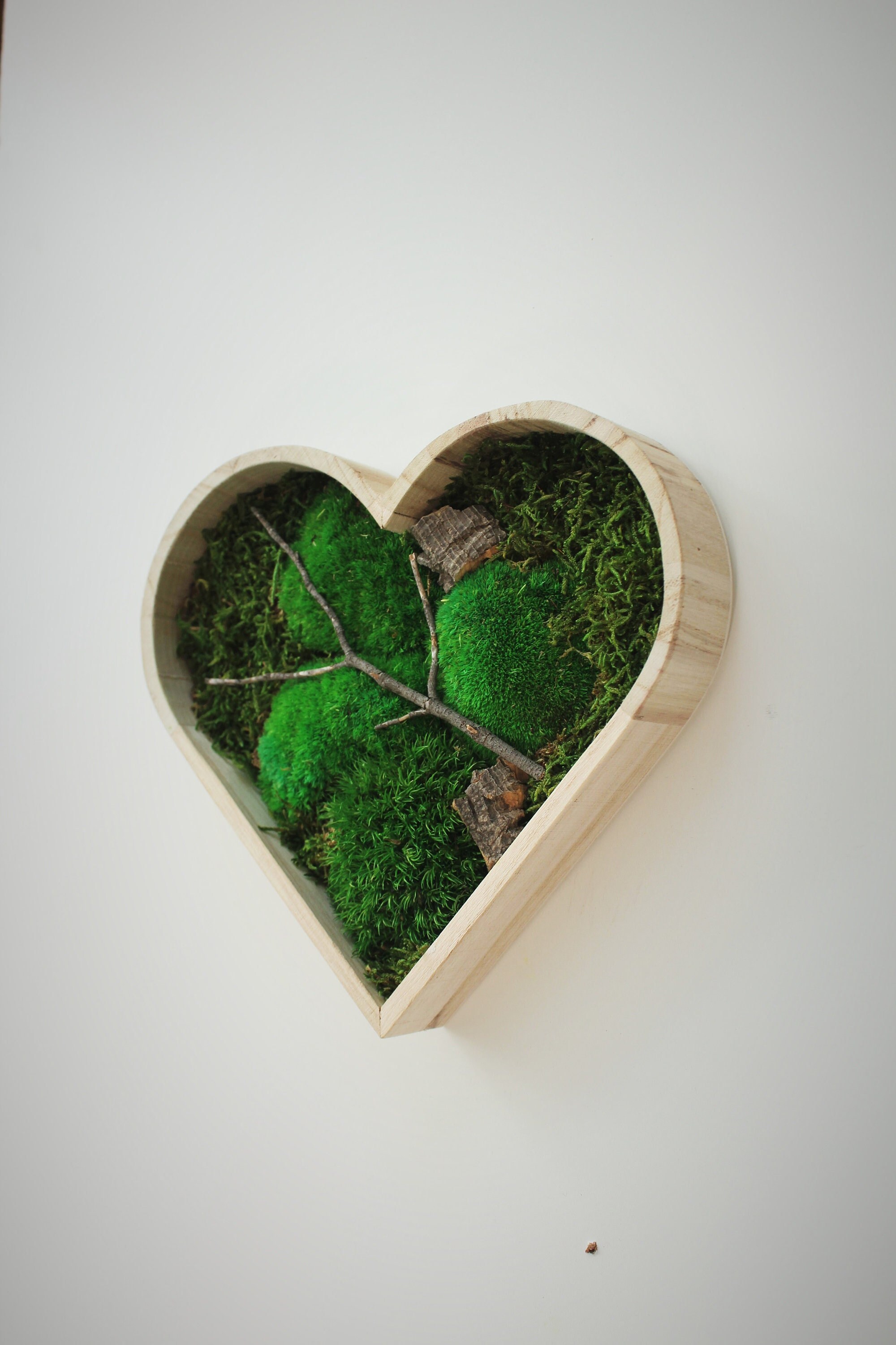 Cadre Végétal Stabilisé, Tableau Végétal, Preserved Moss Frame, Cadeau de Saint Valentin