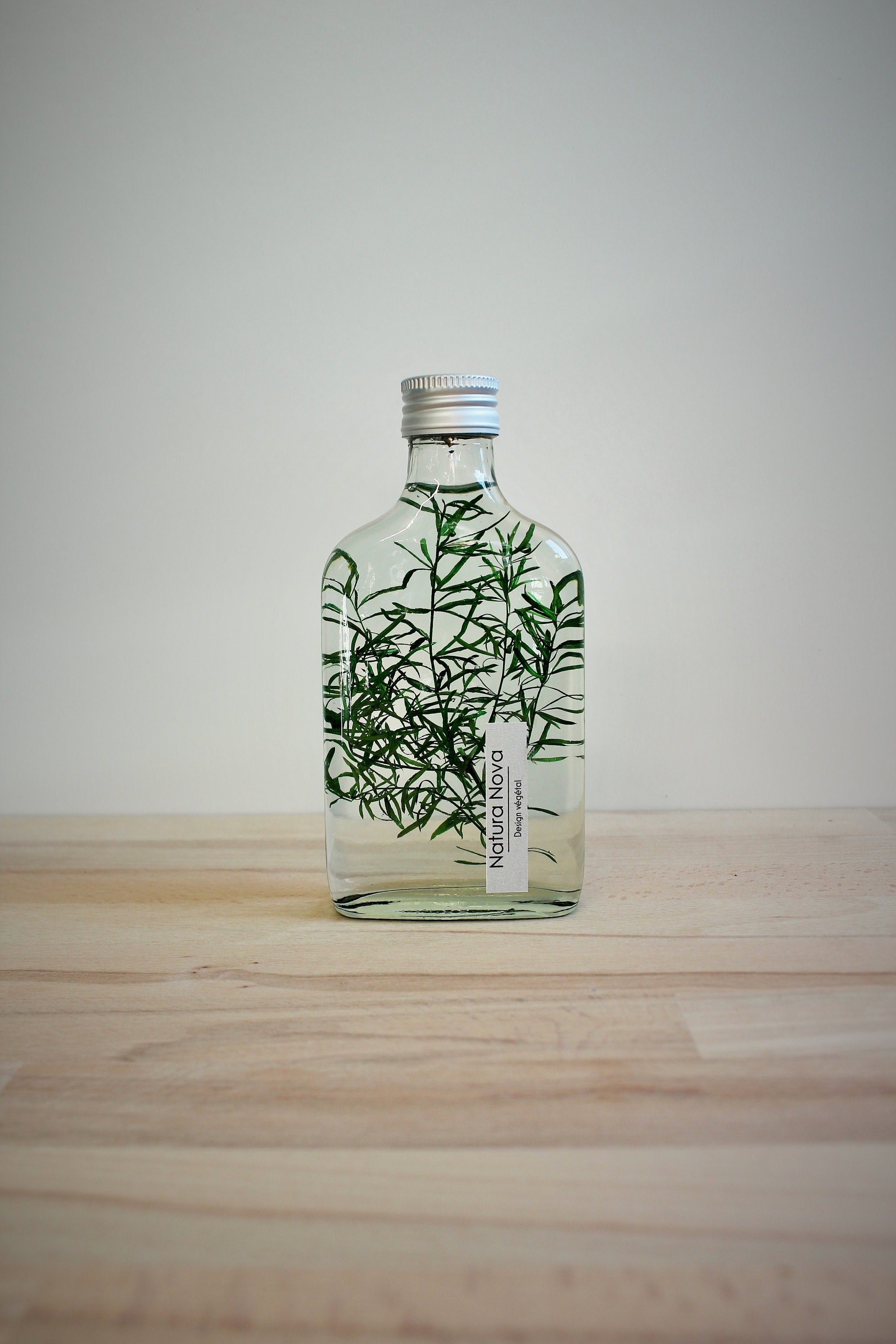 Plante Immergée, Herbarium en Bouteille, Plant in Bottle, Idée de Cadeau