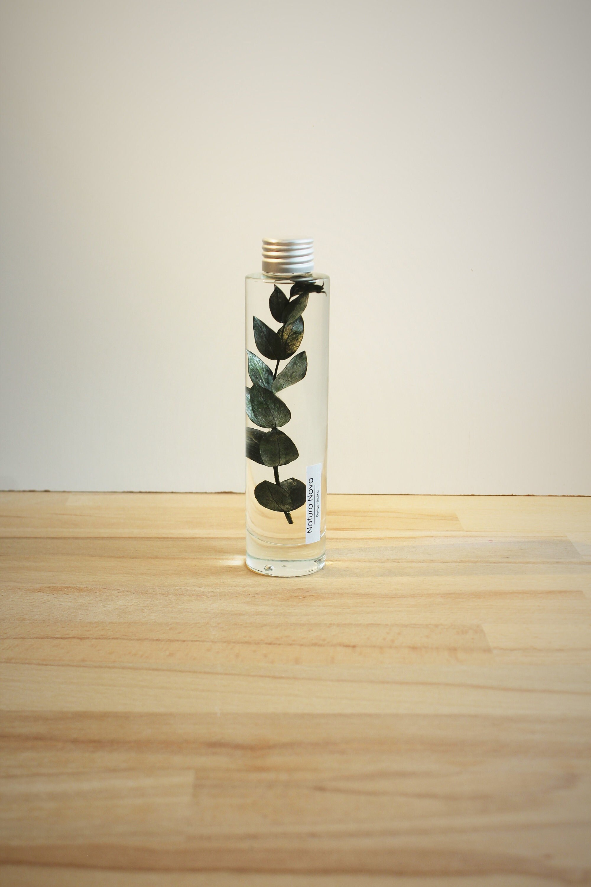 Plante Immergée, Herbarium en Bouteille, Plant in Bottle, Idée Cadeau
