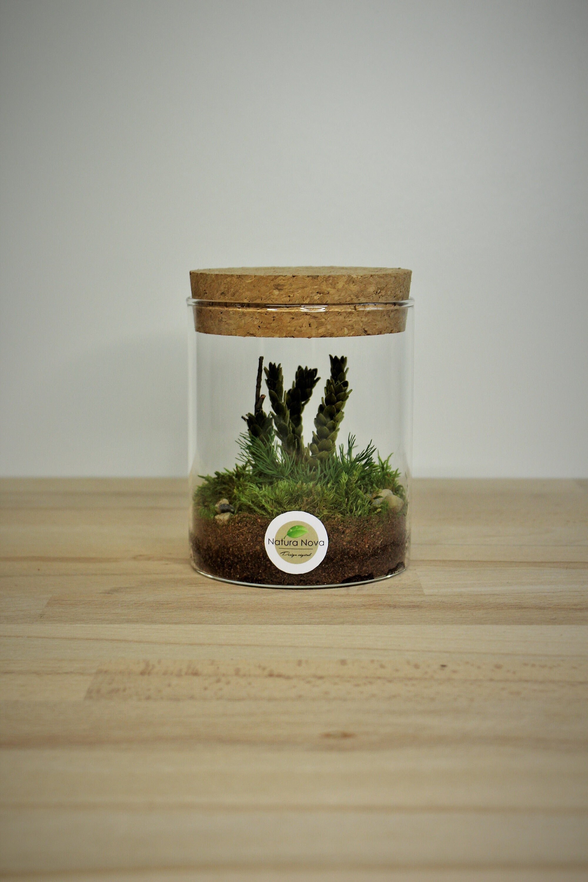 Terrarium Végétal Stabilisé, Preserved Moss Terrarium, Terrarium