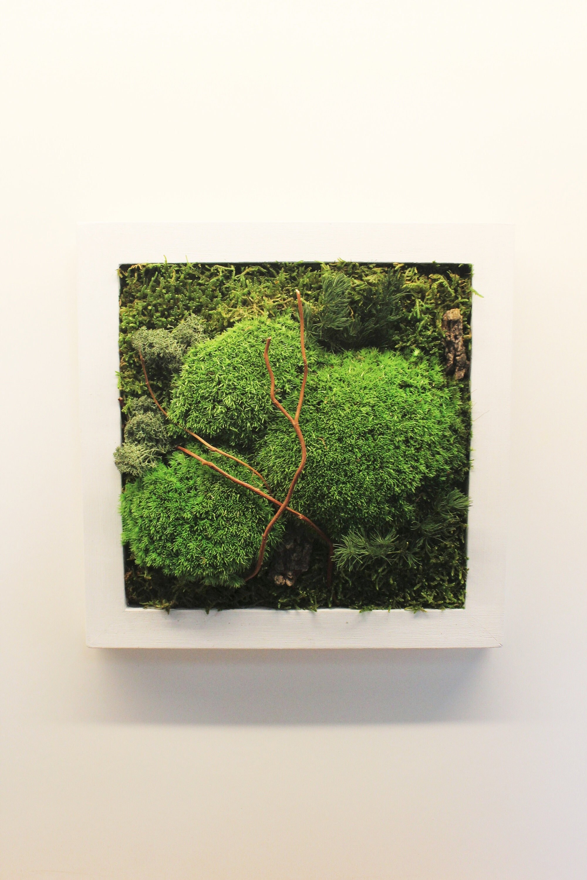 Cadre Végétal Stabilisé, Tableau Végétal, Preserved Moss Frame, Cadeau de Noël