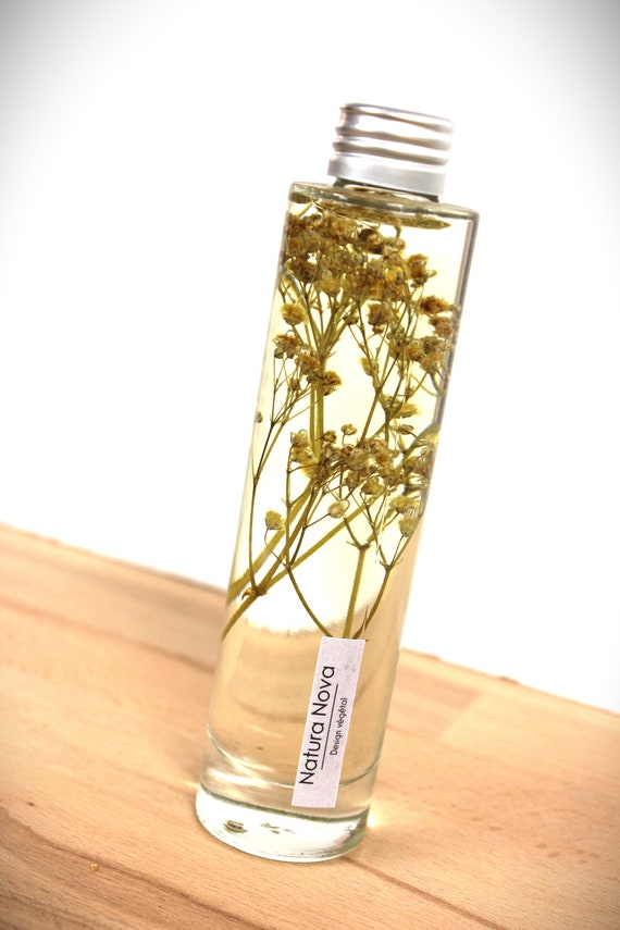 Plante immergée, Herbarium, Fleur en bouteille, Idée cadeau 