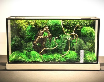 Stabilized plant terrarium, Landscape under glass, Terrarium