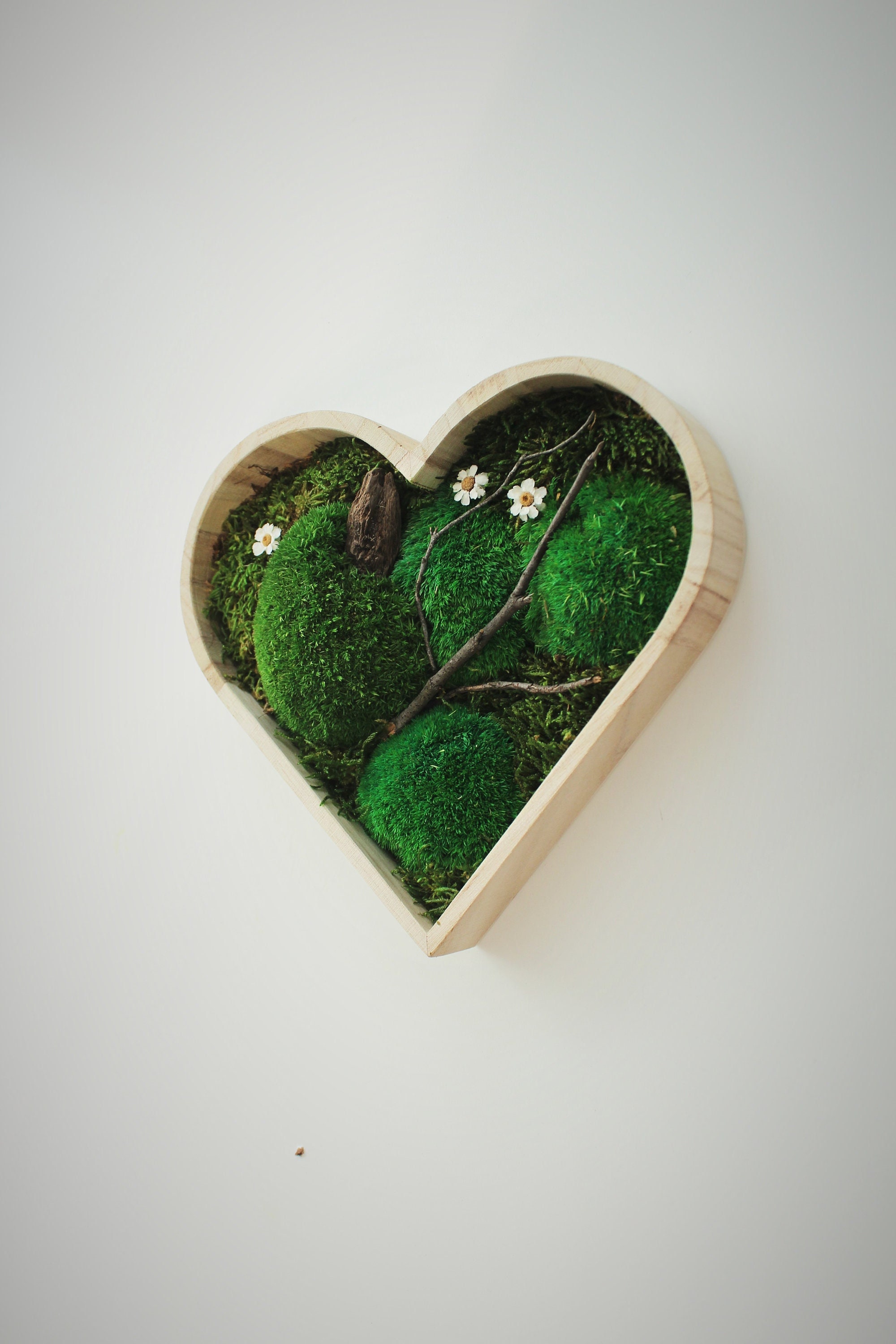 Cadre Végétal Stabilisé, Tableau Végétal, Preserved Moss Frame, Cadeau de Saint Valentin