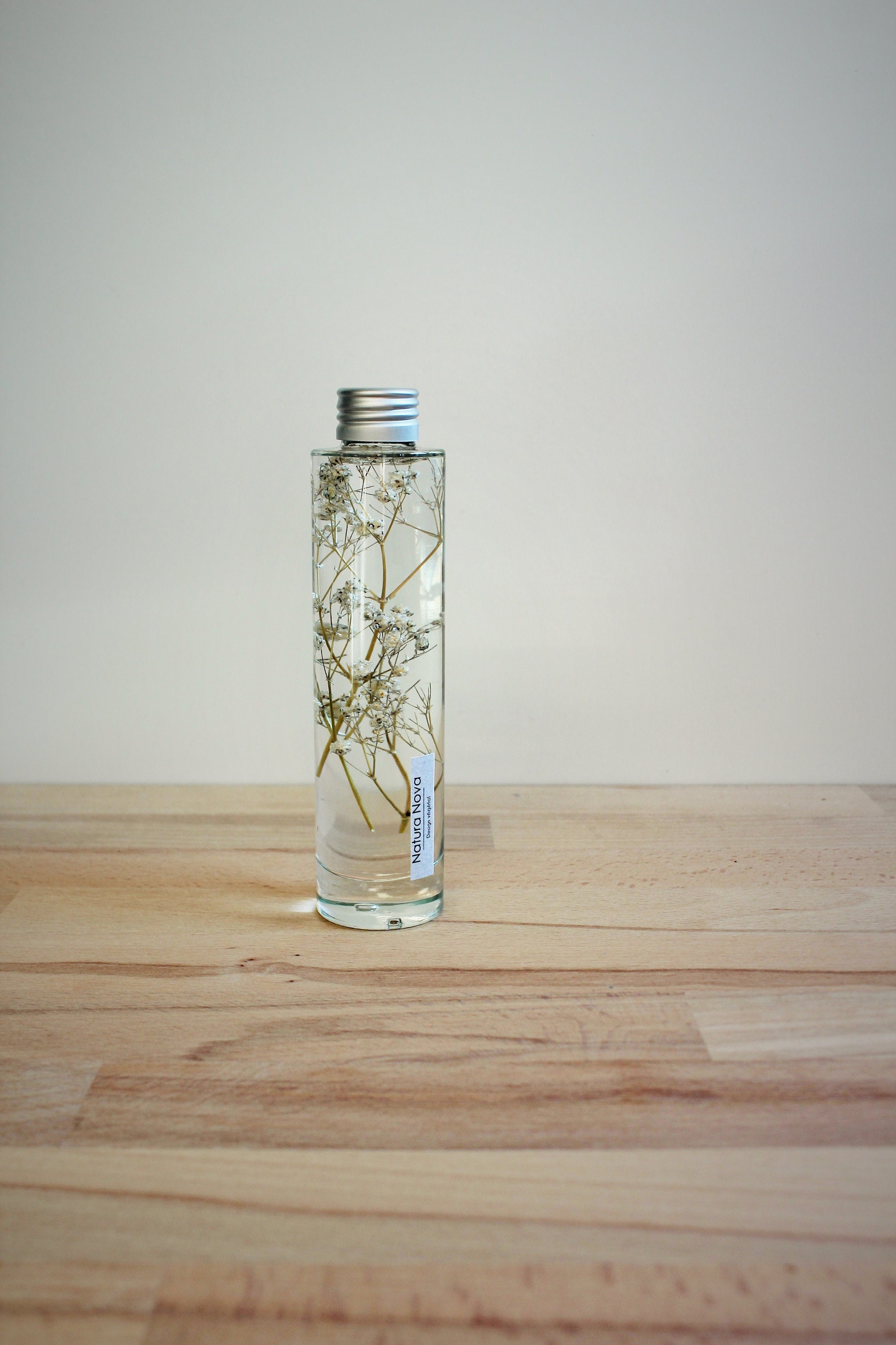 Plante Immergée, Herbarium, Plant in Bottle, Idée Cadeau