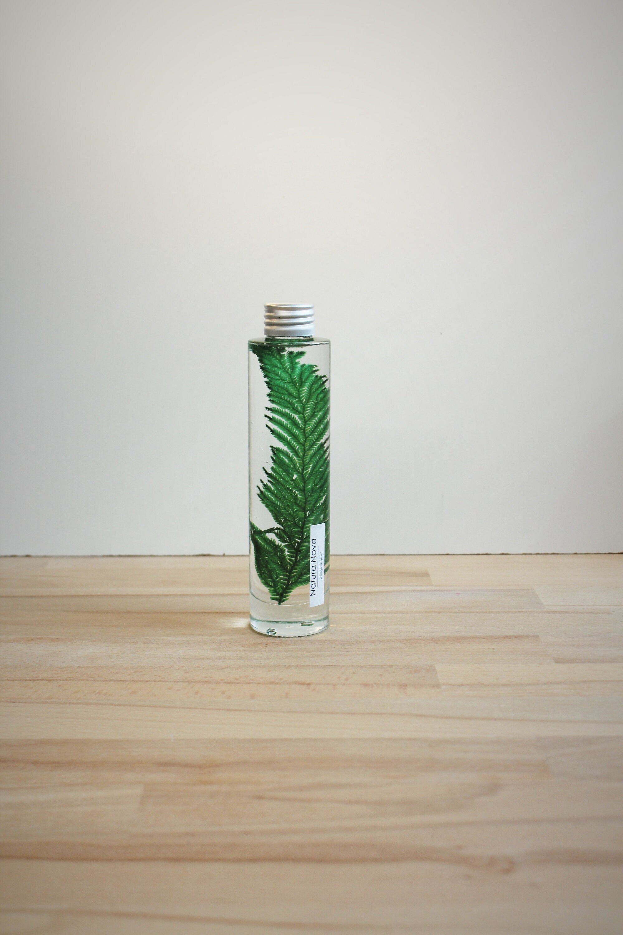 Plante Immergée, Herbarium, Plant in Bottle, Idée de Cadeau