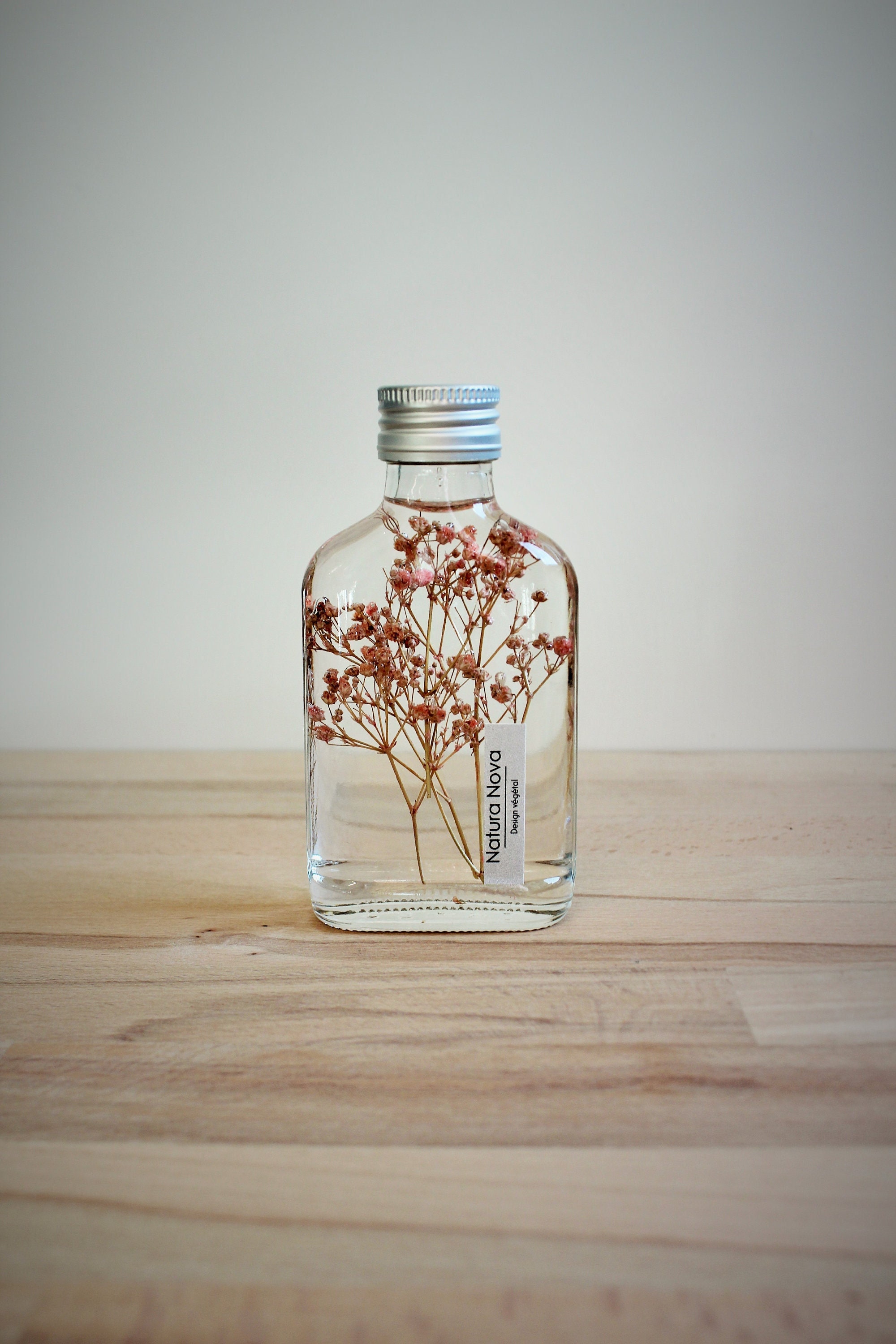 Plante Immergée, Herbarium en Bouteille, Plant in Bottle, Idée Cadeau
