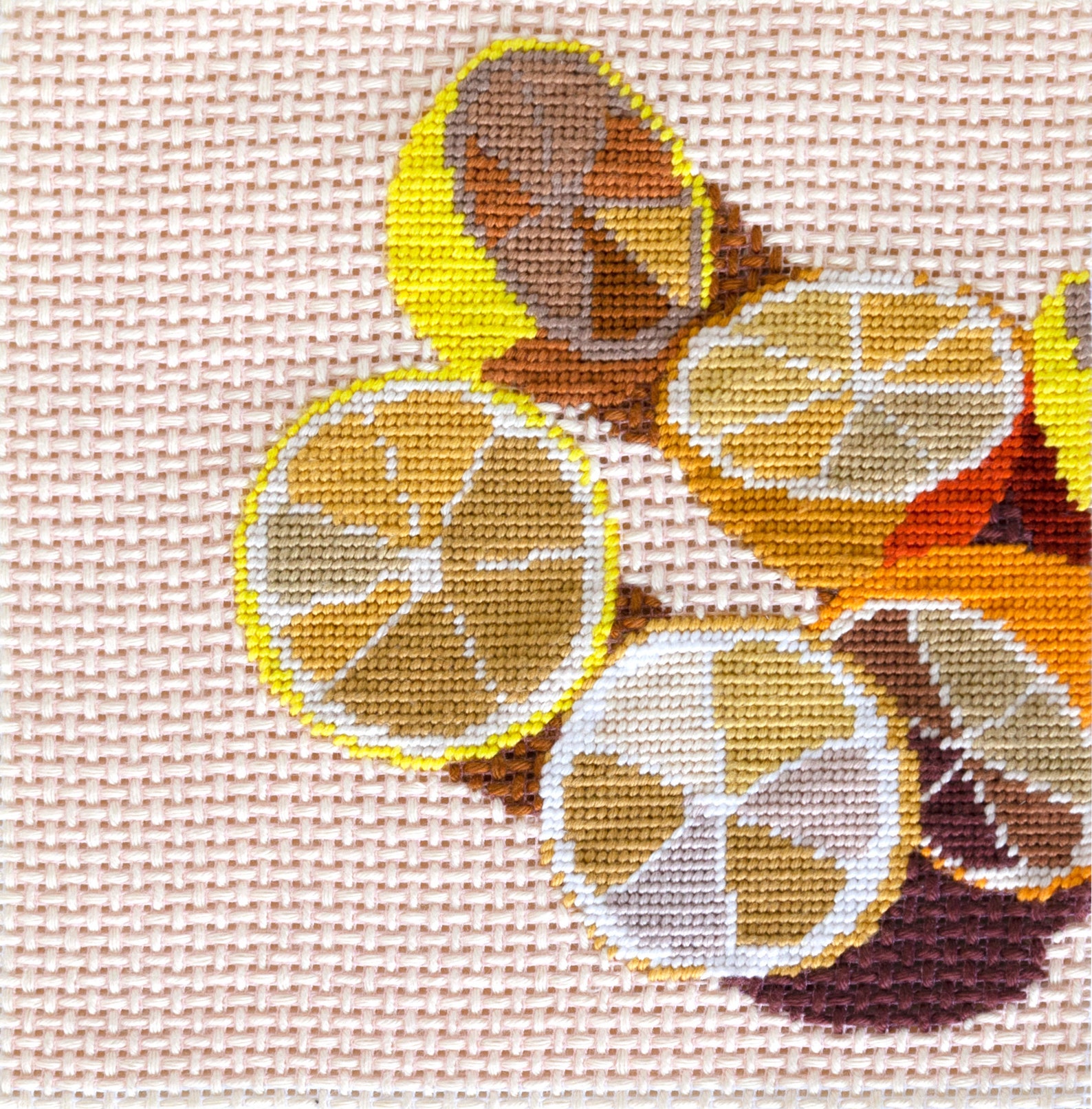 Modern Needlepoint Kit Lemons Citrus Fruit Tapestry Kit Etsy