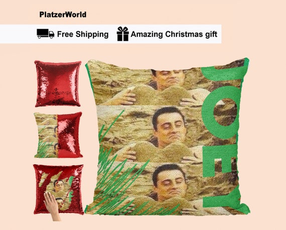 friends sequin pillow