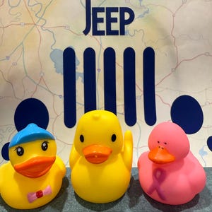 Rubber Duck, Rubber Ducks, Jeep Ducks, Cruise Ducks, Bath Toy, Keepsake, Different Varieties, Cute, Fun, Must Have, Silly, Friend, SET OF 3
