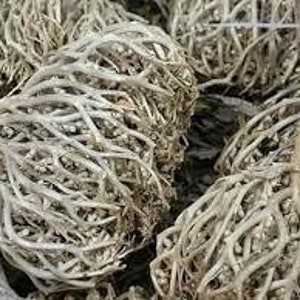 Flower of Maryaam Booti Anastatica hierochuntica Herb 250 gram  عشبة كف مريم