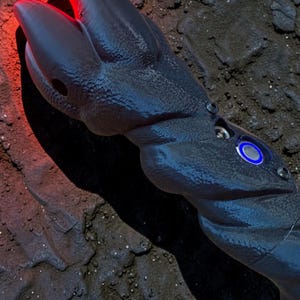 May include: A dark blue, claw-shaped object with a textured surface and a red glowing tip. The object has a series of small, circular details and a blue illuminated circle. The object is set against a dark, textured background.