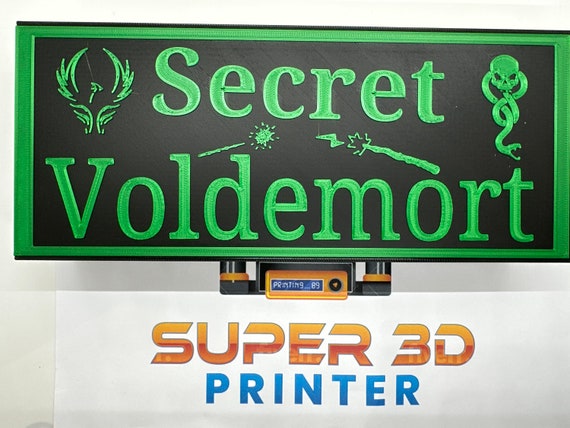 Secret Voldemort Secret Hitler 3D Printed In-color Mystery Games