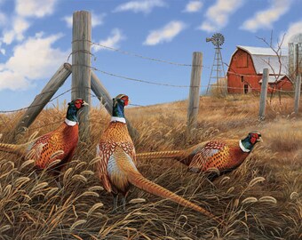 Pheasant Country BTY James Meger Quilting Treasures Tonal Blue Sky 
