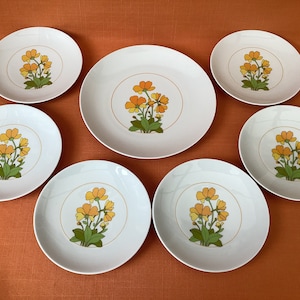 Talerze do herbaty i talerzyk na ciasto firmy Thomas Germany z lat 70. w stylu „Summer” (zestaw 7 sztuk), porcelanowe talerze firmy Thomas z lat 70. z kolekcji Summertime (7 cali), Rosenthal