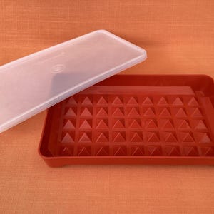 May include: A red plastic tray with a geometric pattern and a clear lid. The tray is rectangular with a textured surface. The lid is translucent and rests partially on the tray.