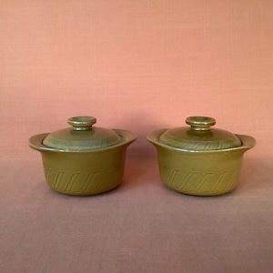Jaren 70 TG Green soepkommen met deksel (verkocht als paar), individuele braadpannen van TG Green, traditionele keuken, aardewerken crockpotten