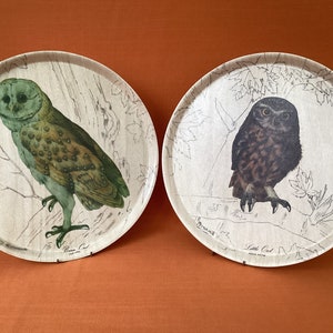 Vintage melamine Thetford trays featuring a barn owl and a little owl (sold separately), melamine vintage owl tray, retro Thetford trays