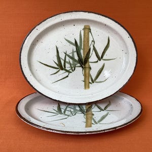 Pode incluir: Dois pratos ovais de cerâmica com um design de bambu. Os pratos têm uma superfície branca salpicada com uma borda marrom. O bambu é retratado com um caule bege e folhas verdes.