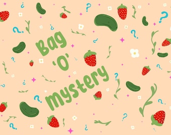 Big Mystery Bag