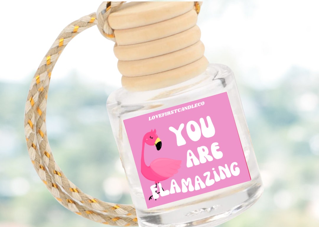 Car Air Freshener, Flamingo Gifts, Pick Your Scent, Hanging Car