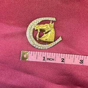 May include: Gold-toned horseshoe-shaped brooch with a horse head design, encrusted with clear rhinestones. The brooch measures approximately 1 inch in diameter.