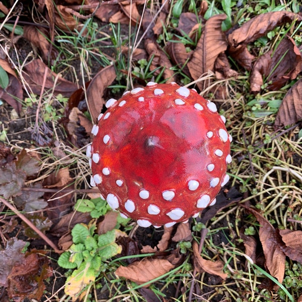 Fliegenpilz, Gartendeko, Keramikpilz