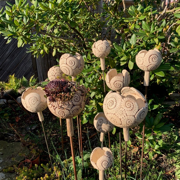 Planter, ammonite ball, plant ball on stick