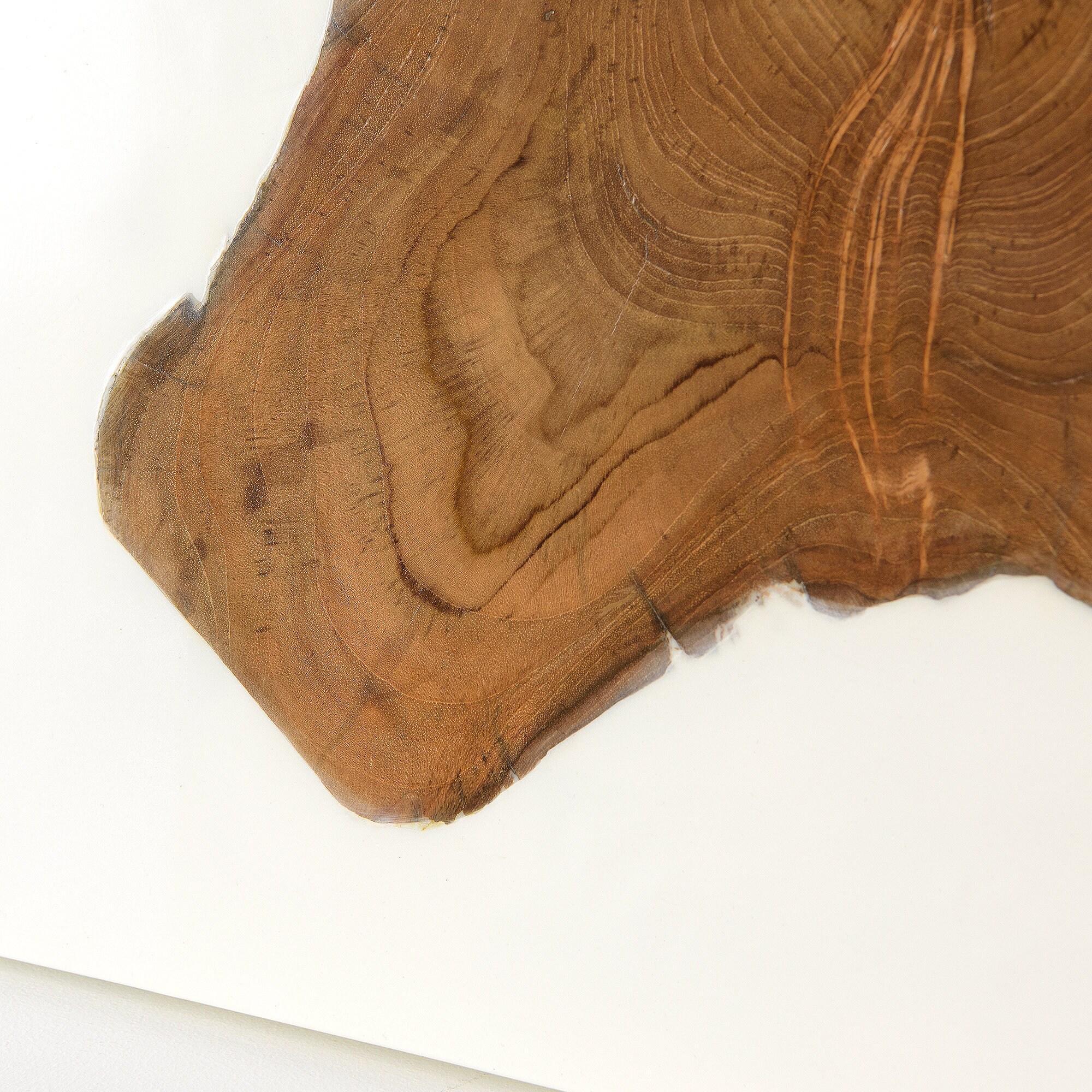 Teak and White Resin Wall Décor Etsy