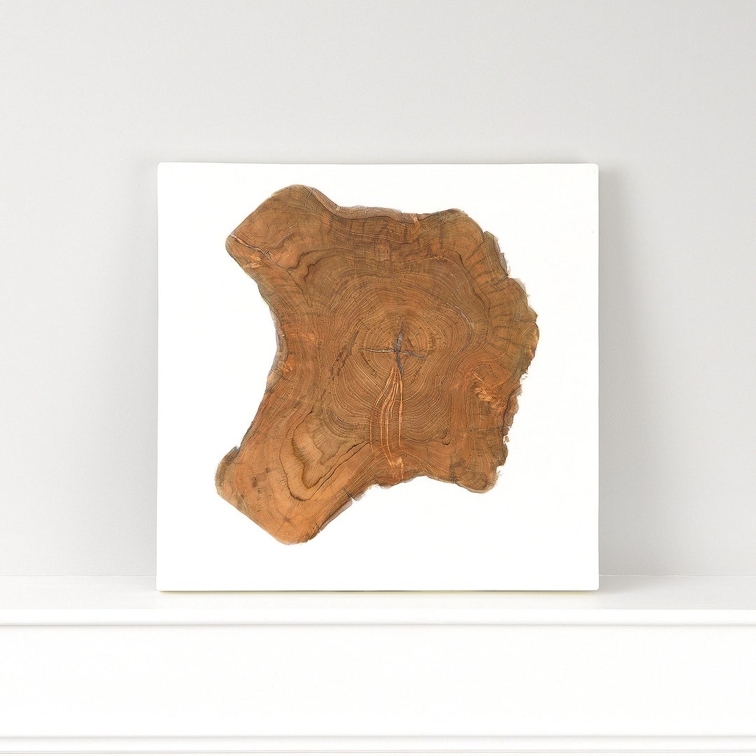 Teak and White Resin Wall Décor Etsy