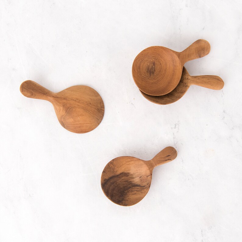 Teak Condiment Spoon Individual or Set Etsy