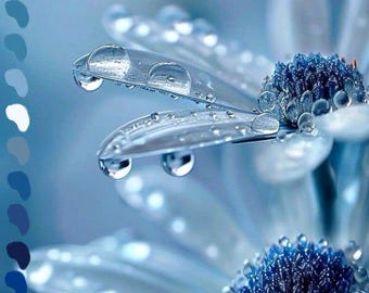 Dew Covered Water Flowers Procreate Color Palette
