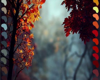 Foggy Autumn Procreate Color Palette