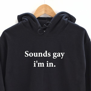 Klinkt Gay I&#39;m In Hoodie. Pride Hooded sweatshirt. Perfect cadeau. LHBT-T-shirt. LGBTQ. Cadeau voor haar. Cadeau voor hem. Pride Month cadeau.