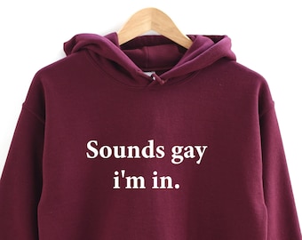 Sounds Gay I'm In Hoodie. Pride Hooded sweatshirt. Perfect gift. LGBT tee. LGBTQ. Gift for her. Gift for him. Pride Month gift.