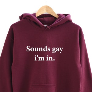 Klinkt Gay I&#39;m In Hoodie. Pride Hooded sweatshirt. Perfect cadeau. LHBT-T-shirt. LGBTQ. Cadeau voor haar. Cadeau voor hem. Pride Month cadeau.
